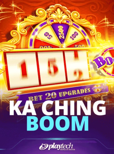 BPL cricket betting cover